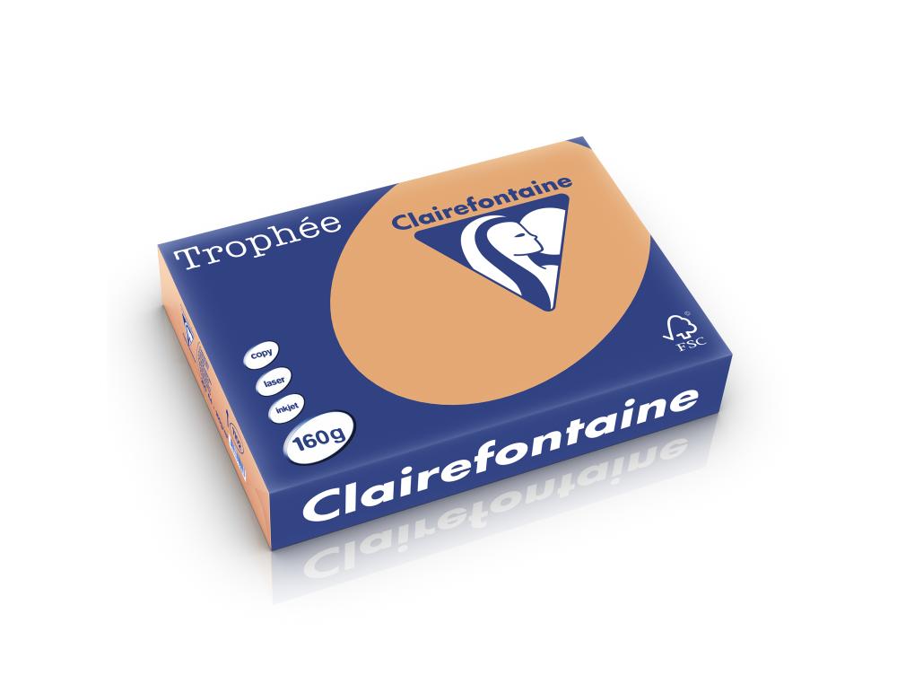 PAPIER A4 160G CARAMEL TRO.250Ramette de papier A4 trophe pastel caramel 160g Clairefontaine