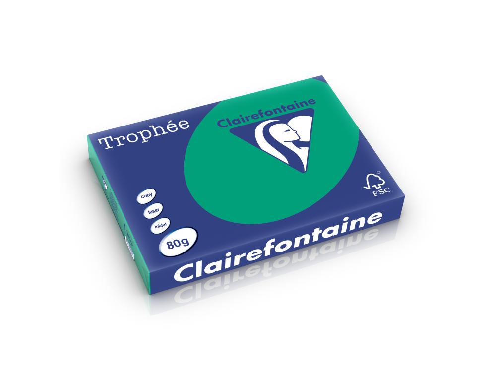 PAPIER A3 80G VERT SAPIN TRO.5Ramette de papier A3 trophe intense vert sapin 80g Clairefontaine